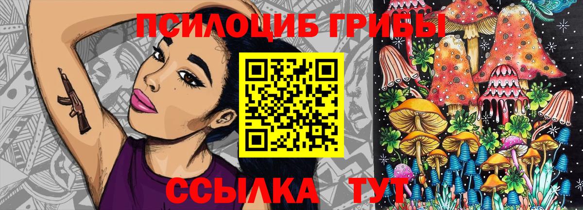 Галлюциногенные грибы Psilocybe Белгород