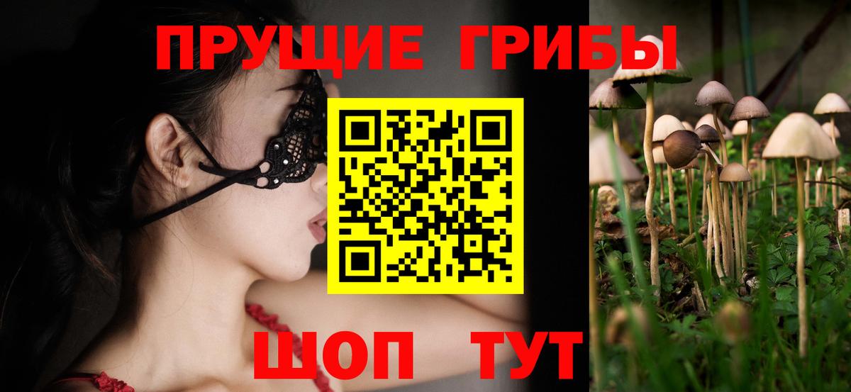 Псилоцибиновые грибы GOLDEN TEACHER Белгород