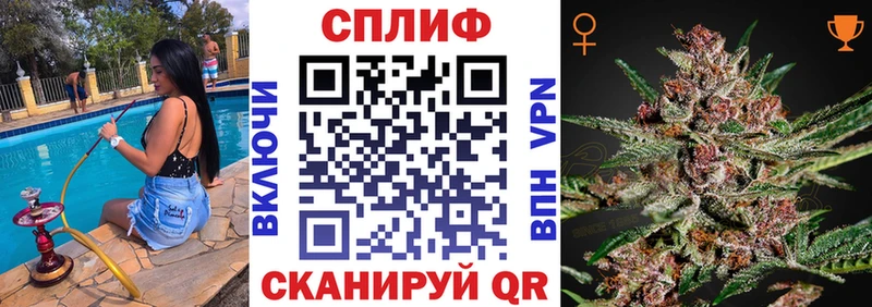 Бошки марихуана VHQ  наркотики  Белгород 